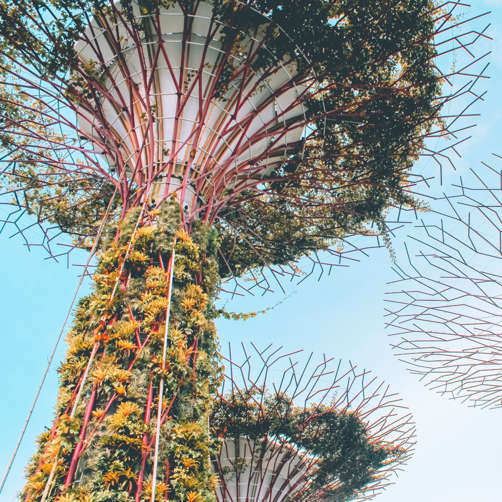 victor-yi56XJsYY0Q-unsplash